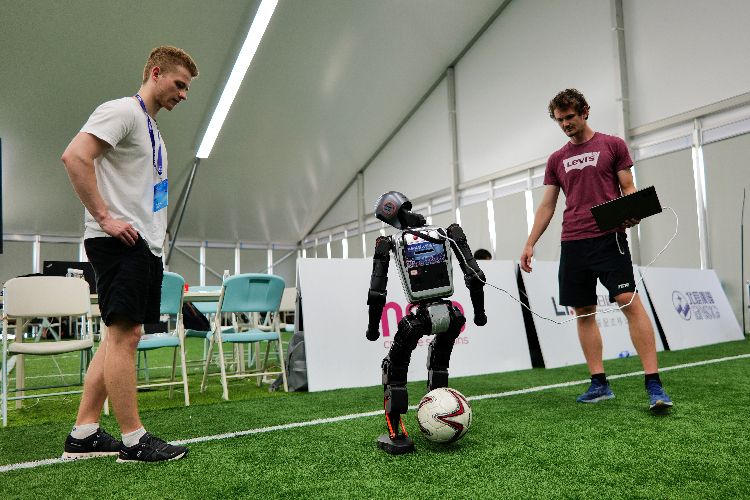 裁的根基, entit, alt