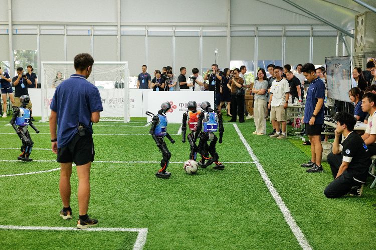 牌上不断跳, yid, 观看比赛