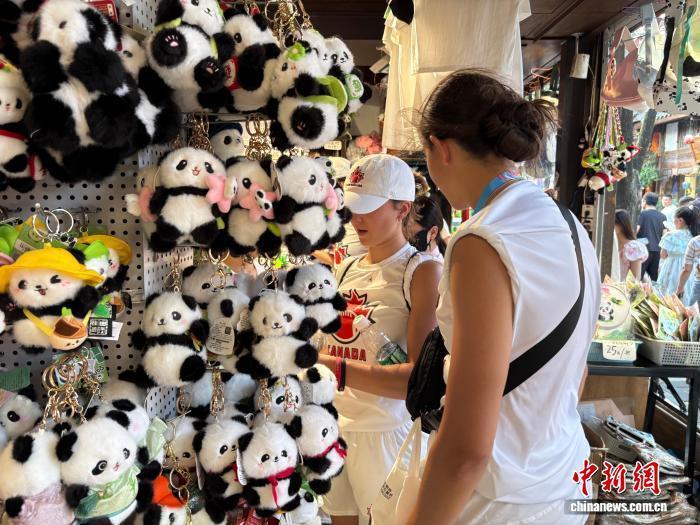 映入眼帘的 映入眼帘的